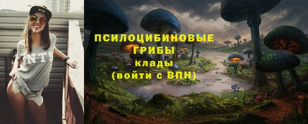прущий лед Балахна