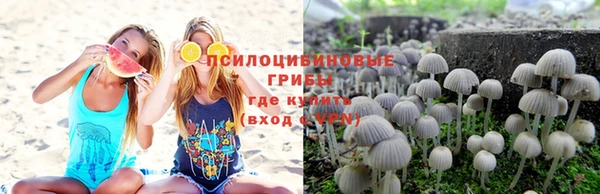 apvp Баксан